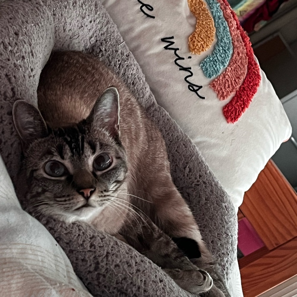 Meet your Posher, Cal